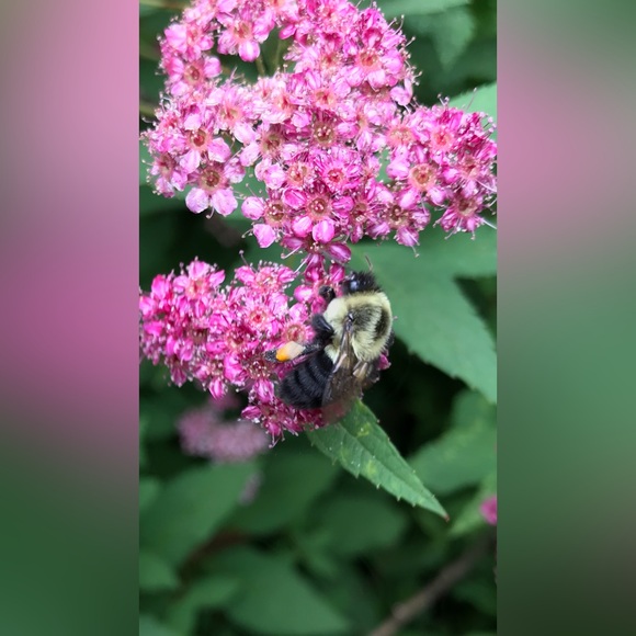 @browneyedgrl25 is LIVE! 💖 - Picture 5 of 13